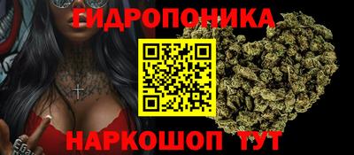винт Гай